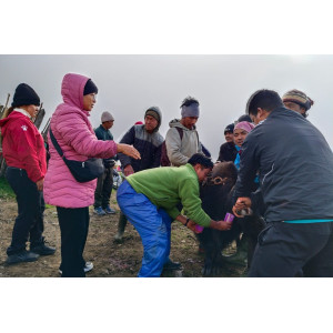 Hope in Every Sip: Hundreds Trek to Mustang’s Marche Lake Each Day to Drink Fresh Yak Blood