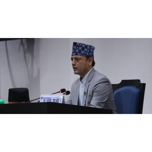 प्रतिनिधिसभा सुरु भएको ९ दिनमै सबै संसदीय समिति गठन