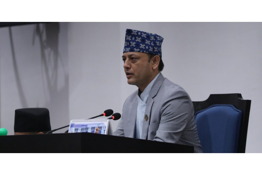 प्रतिनिधिसभा सुरु भएको ९ दिनमै सबै संसदीय समिति गठन