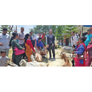 Goats Given to Poor Families to Help Keep Children in School
