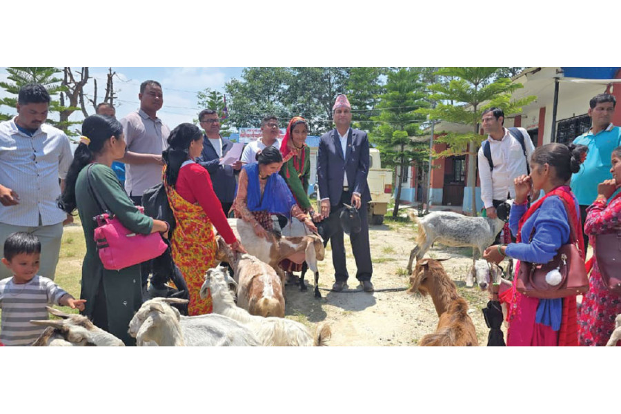 Goats Given to Poor Families to Help Keep Children in School