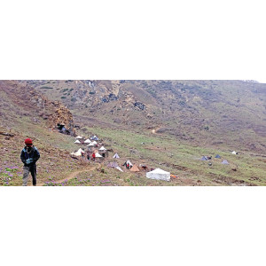 Yarsagumba Revenue Tops Rs 2.8 Million in Mugu Despite Declining Harvest